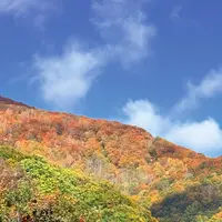栂池自然園の写真・動画_image_786275