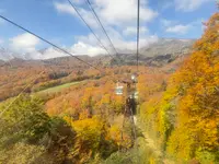栂池自然園の写真・動画_image_786276