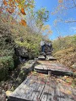 栂池自然園の写真・動画_image_786277