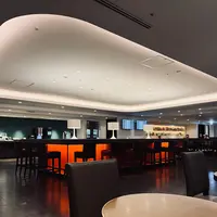 羽田空港（東京国際空港）の写真・動画_image_786477