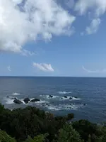 Coffee &Bar SAN.Sの写真・動画_image_786497