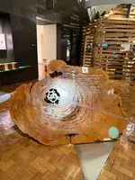 屋久杉自然館の写真・動画_image_786499