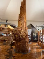 屋久杉自然館の写真・動画_image_786500