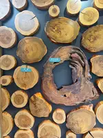 屋久島世界遺産センターの写真・動画_image_786505