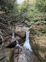 大株歩道入口の写真・動画_image_786513