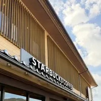 出雲大社の写真・動画_image_787078