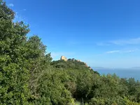 王子が岳の写真・動画_image_787760