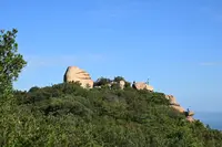 王子が岳の写真・動画_image_787761