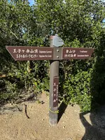 王子が岳の写真・動画_image_787763