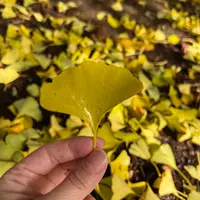 錦山天満宮の写真・動画_image_788388