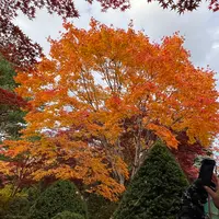 平岡樹芸センター みどりーむの写真・動画_image_788392