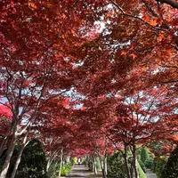 平岡樹芸センター みどりーむの写真・動画_image_788394