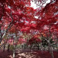平岡樹芸センター みどりーむの写真・動画_image_788405