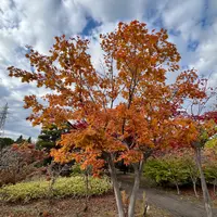 平岡樹芸センター みどりーむの写真・動画_image_788406