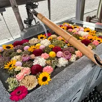 樽前山神社の写真・動画_image_788413