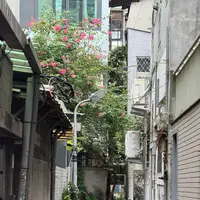 COOKIE886の写真・動画_image_788980