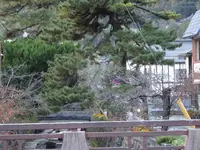 紺屋川美観地区の写真・動画_image_791356