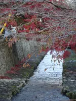 紺屋川美観地区の写真・動画_image_791357