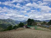 果無集落（熊野古道 小辺路）の写真・動画_image_791518