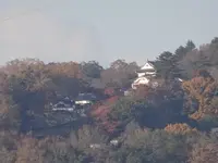 高梁市ループ橋 展望公園の写真・動画_image_791674