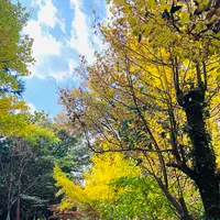 秋芳洞案内所（エレベーター出入口）の写真・動画_image_791688