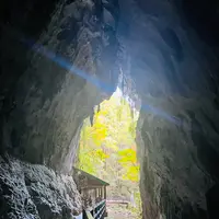 秋芳洞黒谷口の写真・動画_image_791690