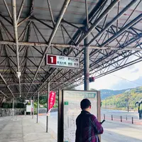 秋芳洞黒谷口の写真・動画_image_791691