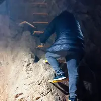 秋芳洞の写真・動画_image_791702