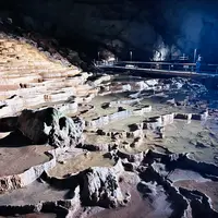 秋芳洞の写真・動画_image_791703