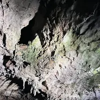 秋芳洞の写真・動画_image_791706