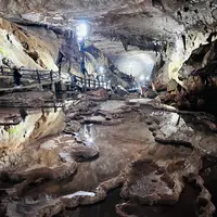 秋芳洞の写真・動画_image_791710