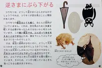 秋吉台科学博物館の写真・動画_image_791719