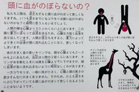 秋吉台科学博物館の写真・動画_image_791720