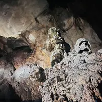 秋芳洞黒谷口の写真・動画_image_791725