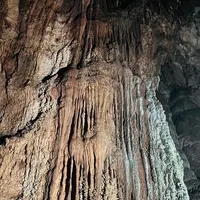 秋芳洞黒谷口の写真・動画_image_791726