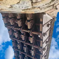 錦帯橋の写真・動画_image_791740