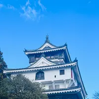 岩国城ロープウエーの写真・動画_image_791746