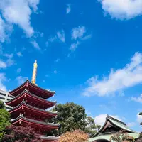 東長寺の写真・動画_image_791769