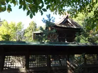伊和都比売神社の写真・動画_image_791906