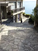 きらきら坂の写真・動画_image_791915