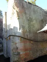 生石神社の写真・動画_image_791928