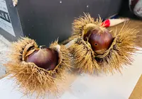 割烹 若新の写真・動画_image_791980