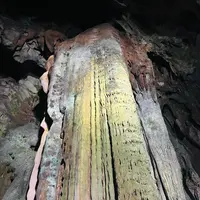 秋芳洞黒谷口の写真・動画_image_792263