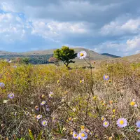 秋吉台若竹山の写真・動画_image_792285