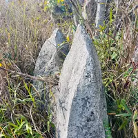 秋吉台若竹山の写真・動画_image_792286