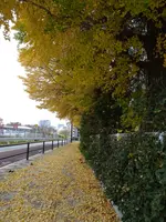 佐藤美術館の写真・動画_image_793453