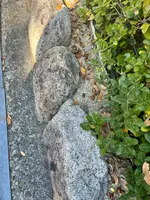 有馬温泉 池之坊有料駐車場の写真・動画_image_793910