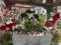 金蛇水神社の写真・動画_image_796492