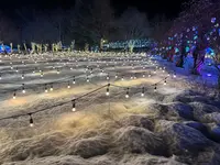 やくらいガーデンの写真・動画_image_796501