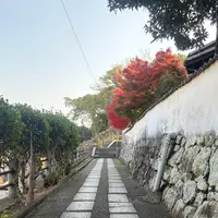 阿智神社の写真・動画_image_796664